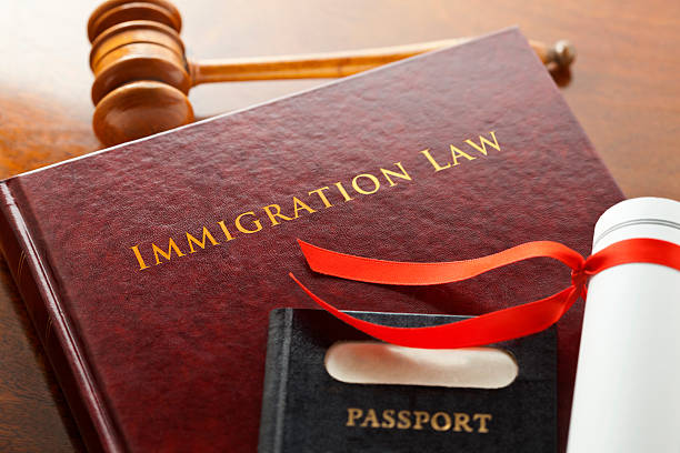 Immigration Lawyers